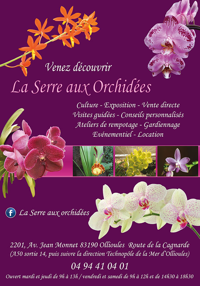 Jacq Orchidées Ollioules - Limpact