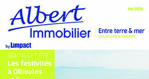 Albert Immobilier 40